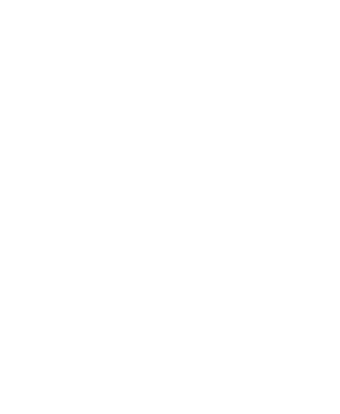 Future Akademi